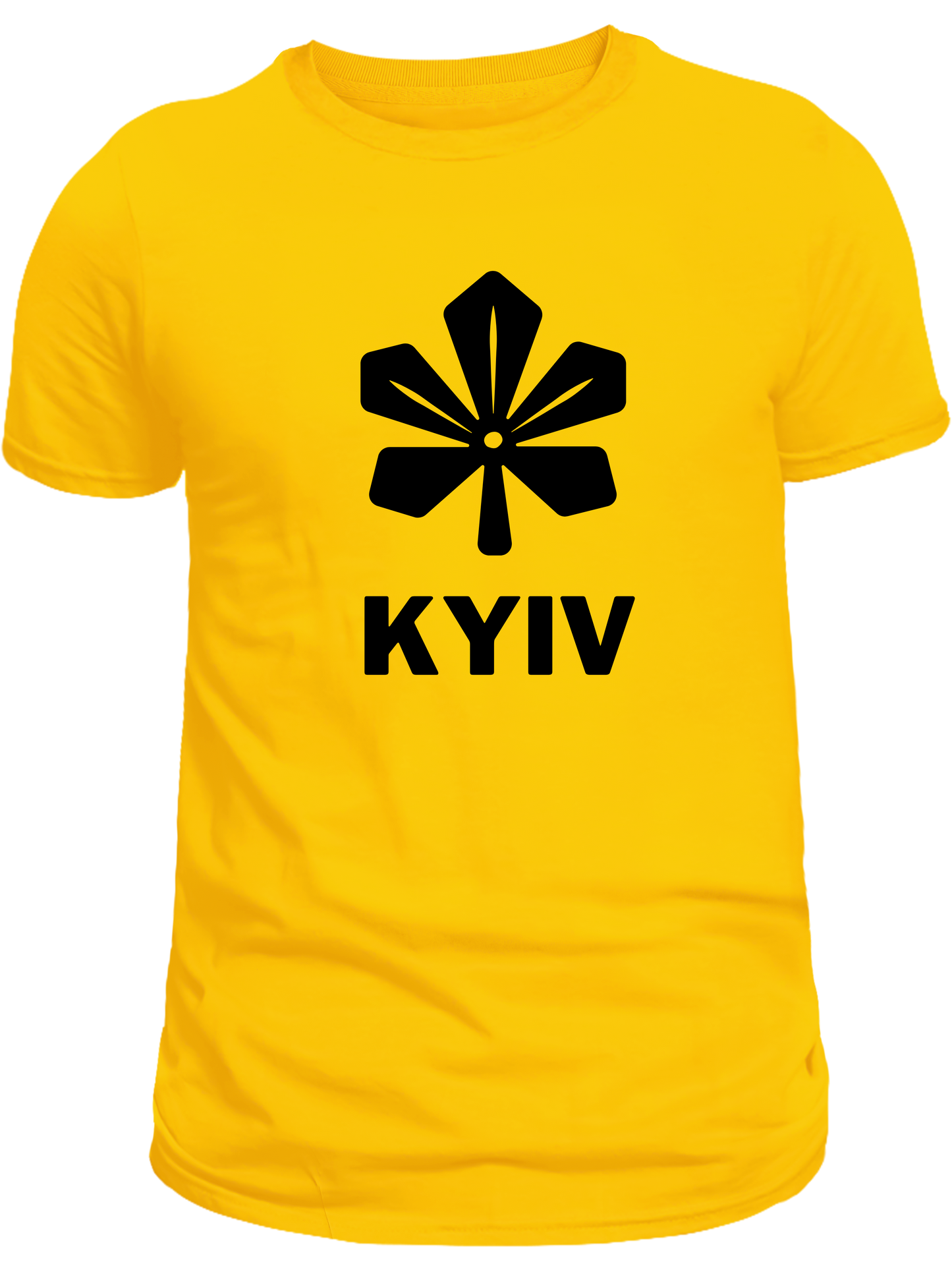 ПЕРЕДЗАМОВЛЕННЯ дитяча (5+ років) футболка з принтом Київ