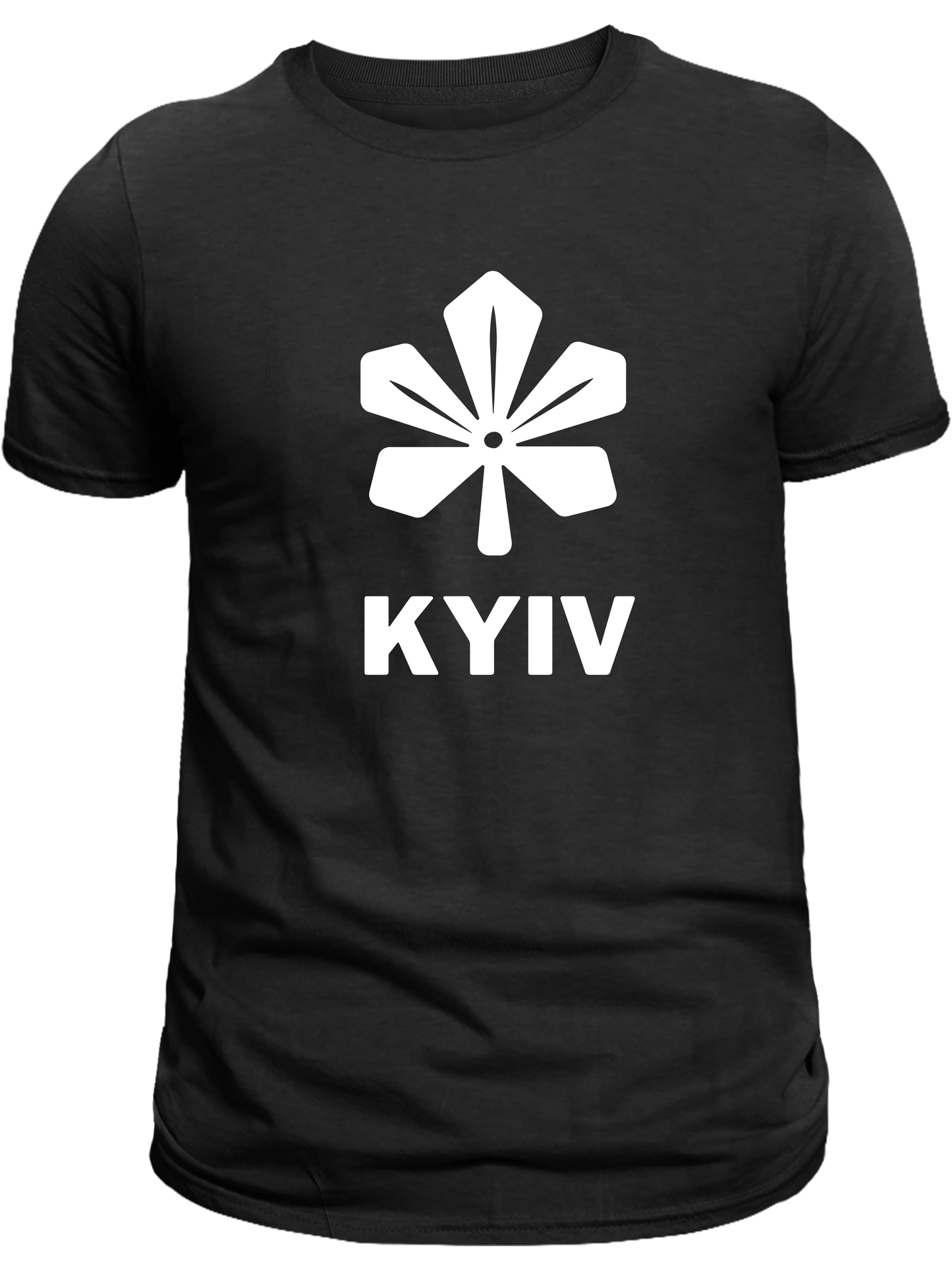 PRE-ORDER Adult T-shirt with the print Kyiv